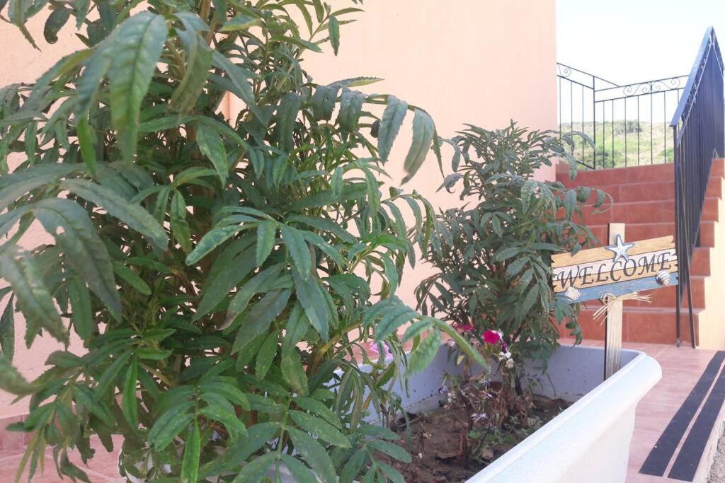 Rodanthy III Kateleios Exterior foto